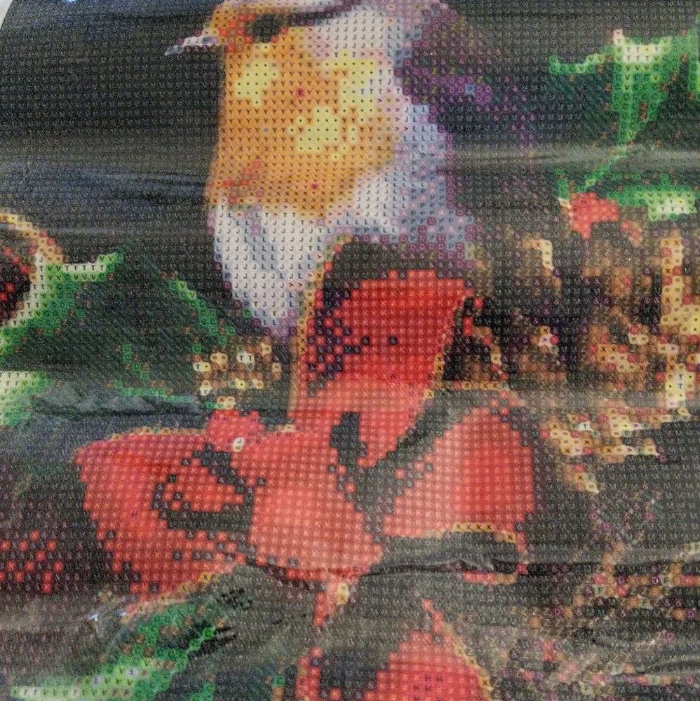 Diamond Painting